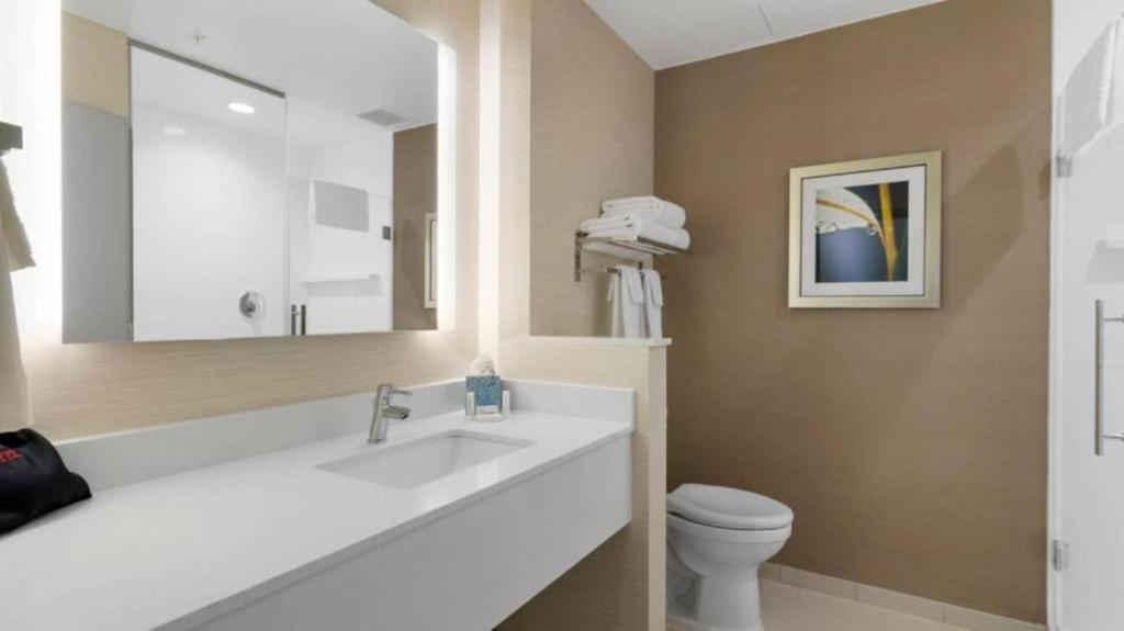 Fairfield Inn & Suites by Marriott St Petersburg North image 15